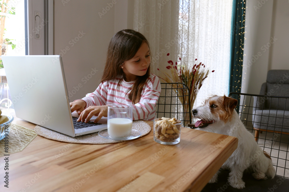 Little girl doing homework on a laptop with wire haired jack russell ...