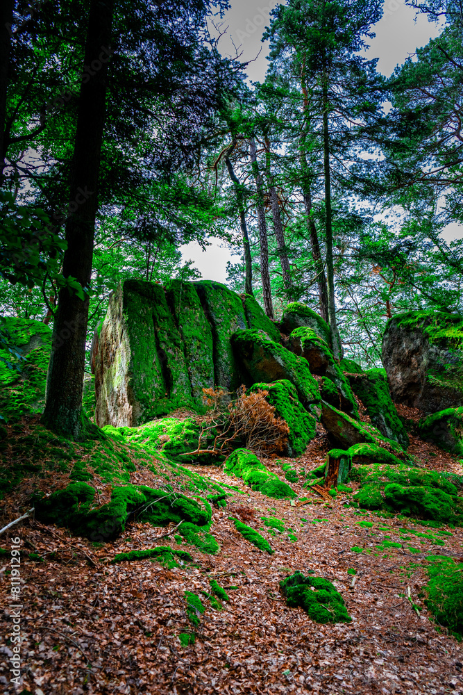 Fototapeta premium Hiking Tour on the Semmelberg in the Bavarian Forests