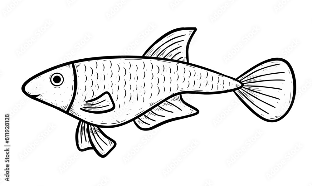 Sketch fish isolated on white Sketch fish isolated on white