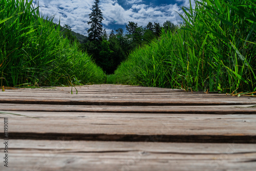  Hiking Arround Lake Montiggler South Tyrol Italy photo