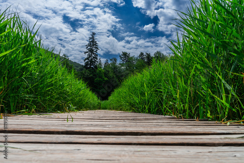  Hiking Arround Lake Montiggler South Tyrol Italy photo