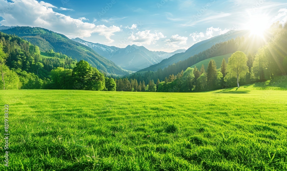 Beautiful green meadow with trees and mountains in the background, sunny day 