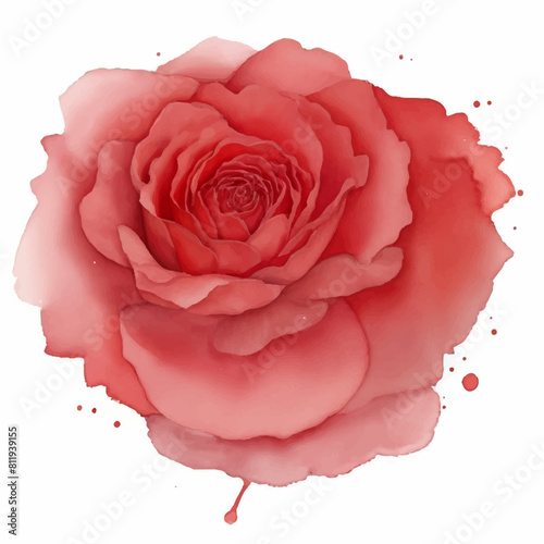 Hand Drawn Sketch Of Pink Peony Spring Flowers On A Watercolor Textured Background, Peony Spring Flowers 