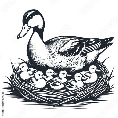 Duck and a brood of ducklings in the nest, vector illustration