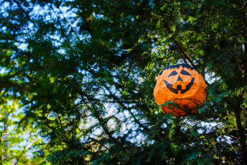 Halloween: A hanging fabric jack-o'-lantern (or jack o'lantern) in trees in a British parkland garden. Hallowe'en. Landscape horizontal format with copy space. © Russell