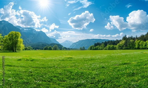 Beautiful green meadow with trees and mountains in the background, sunny day 