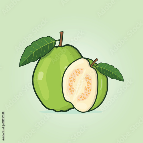 Summer tropical fruits for healthy lifestyle. Guava, whole fruit and half. Fruit vector illustration design
