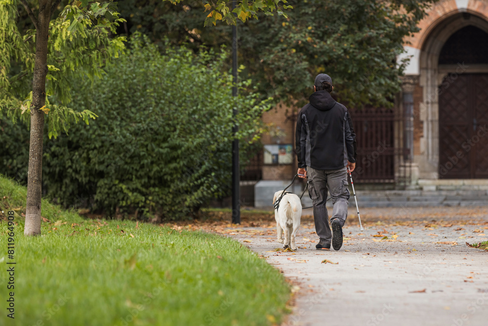 Blind man taking a walk in a city park with her trained guide dog Blind man taking a walk in a city park with her trained guide dog