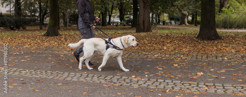 Blind woman walking in city park with a guide dog assistance