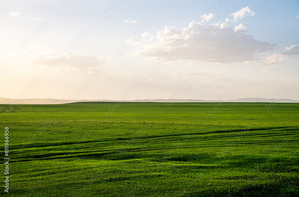 Obraz premium Blue sky and white clouds prairie