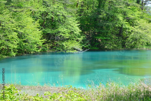 五色沼の青沼