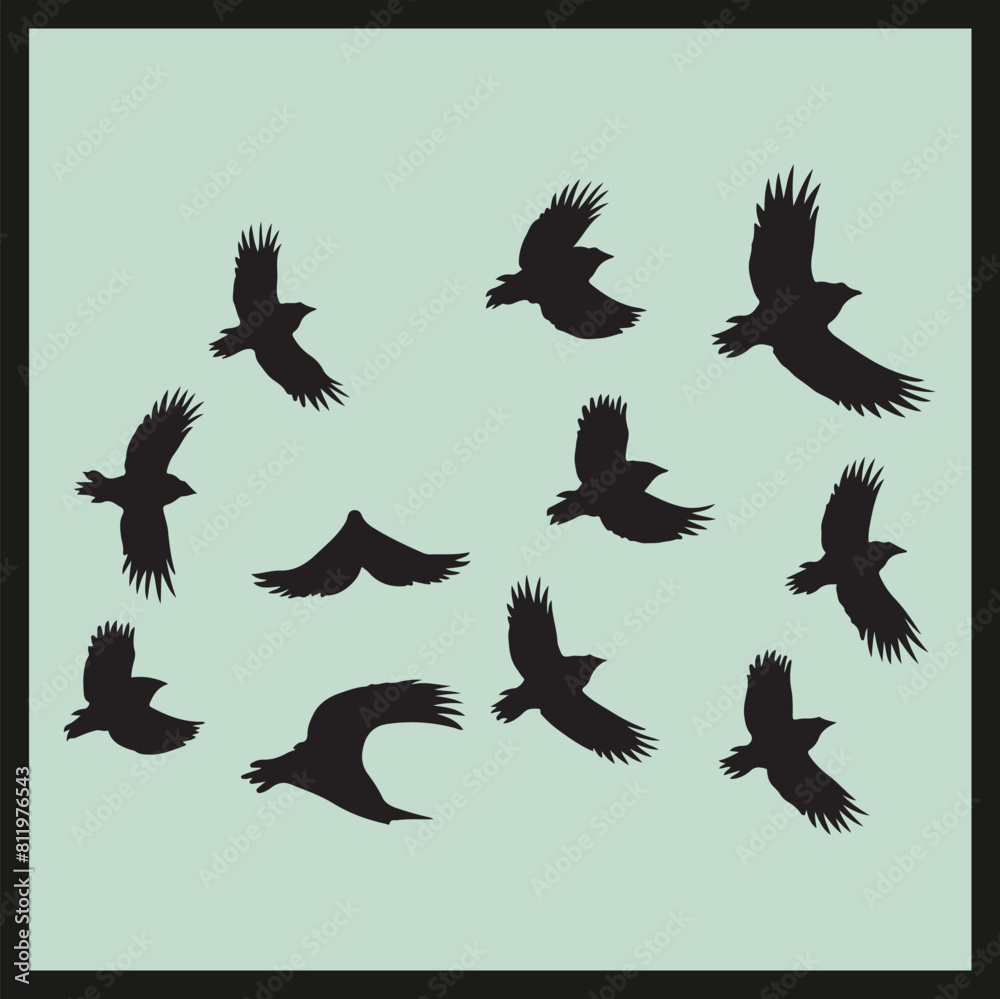 Obraz premium Flock of Birds black Silhouette vector