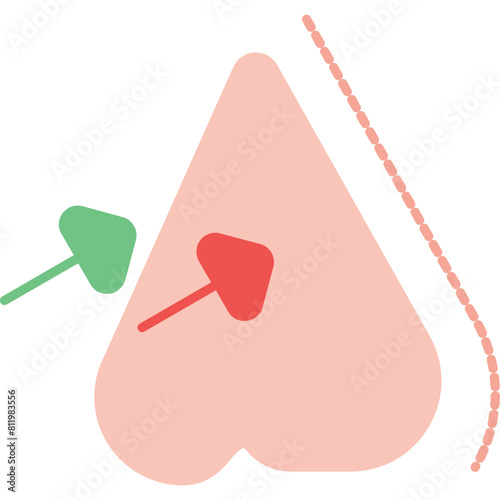 Rhinoplasty Icon
