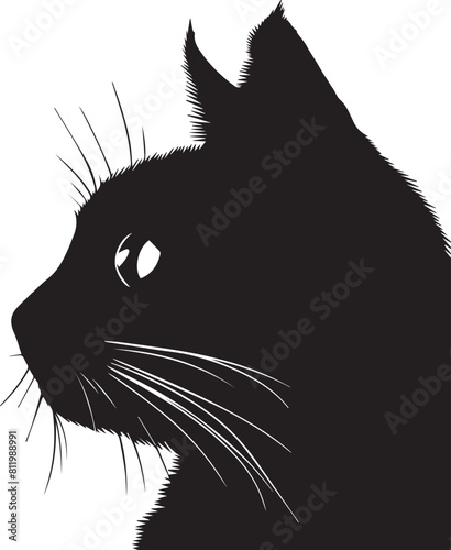 Black Cat Peeking Silhouettes