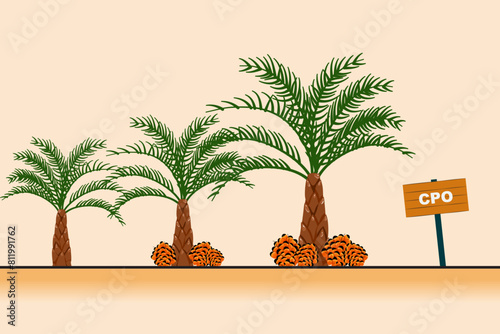Three palm trees are shown in a desert setting with a sign that says CPO. The image has a warm and tropical feel to it, with the palm trees and the sign adding to the overall atmosphere