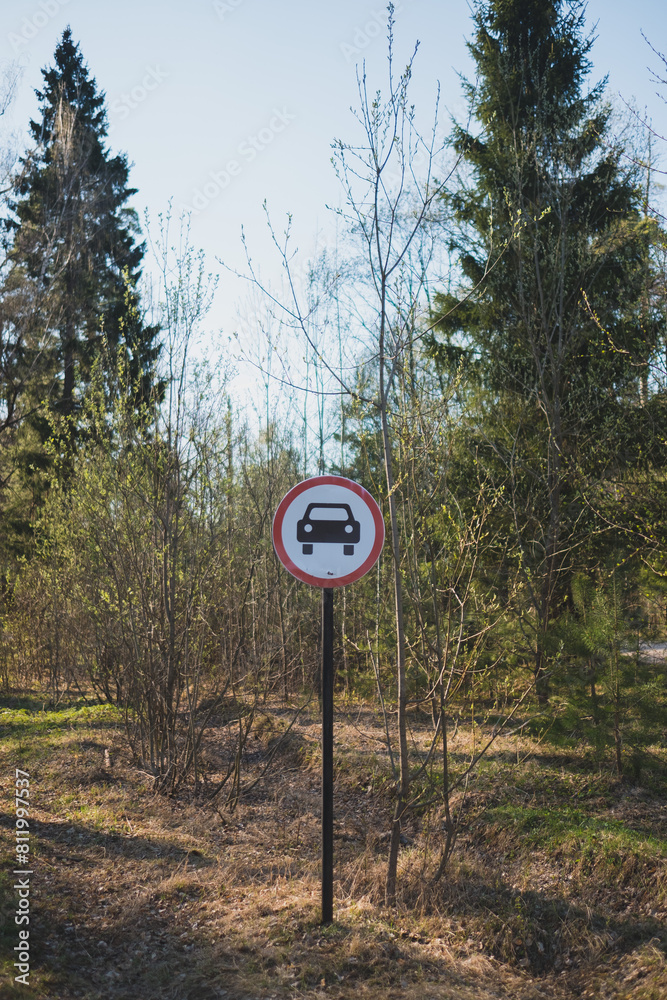 Naklejka premium The road sign of the car, in the middle of the forest thicket