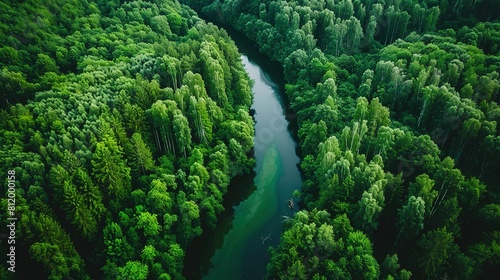 Forest with river