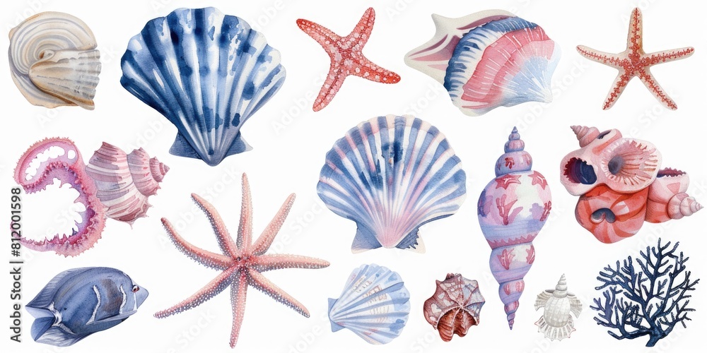 A variety of seashells and starfish on a white background. Perfect for beach-themed designs A variety of seashells and starfish on a white background. Perfect for beach-themed designs