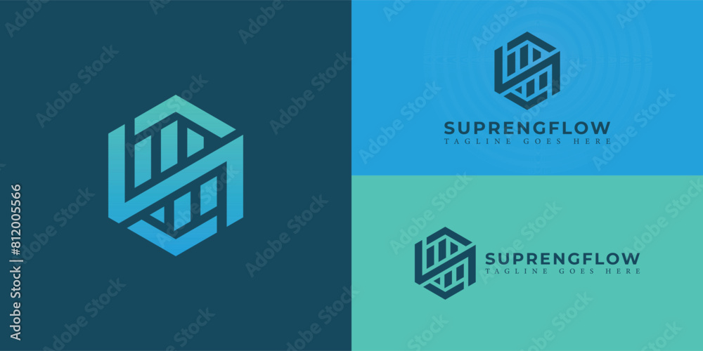 Abstract initial hexagon letter SN or NS logo in gradient blue color ...
