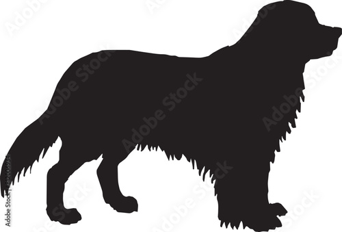 Dogs Silhouettes. walk, training, men, human, exhibition, owner, figure, display, groups, contour, people, lifestyle, outdoors, leash, fun, sitting, friendly, dachshund, domestic, character, illustrat