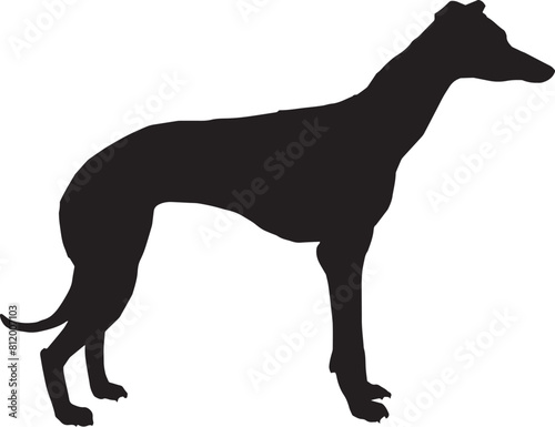Dogs Silhouettes. walk, training, men, human, exhibition, owner, figure, display, groups, contour, people, lifestyle, outdoors, leash, fun, sitting, friendly, dachshund, domestic, character, illustrat