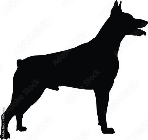 Dogs Silhouettes. walk, training, men, human, exhibition, owner, figure, display, groups, contour, people, lifestyle, outdoors, leash, fun, sitting, friendly, dachshund, domestic, character, illustrat