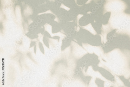Leaf shadow and tree branch background. Nature leaves tree branch light bokeh shadows sunlight sunshine shade on white wall texture for background wallpaper  shadows overlay effect foliage mockup