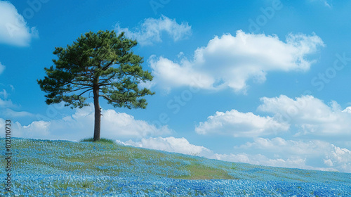 A pine tree in an endless sea of blue flowers