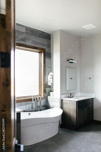 luxury bathroom vignette