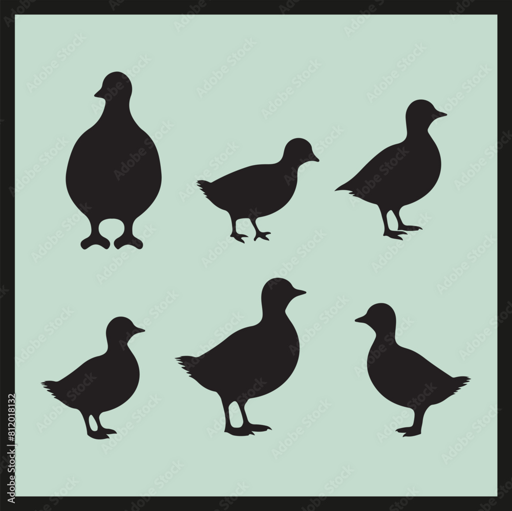 Dabchick black silhouette set vector Dabchick black silhouette set vector