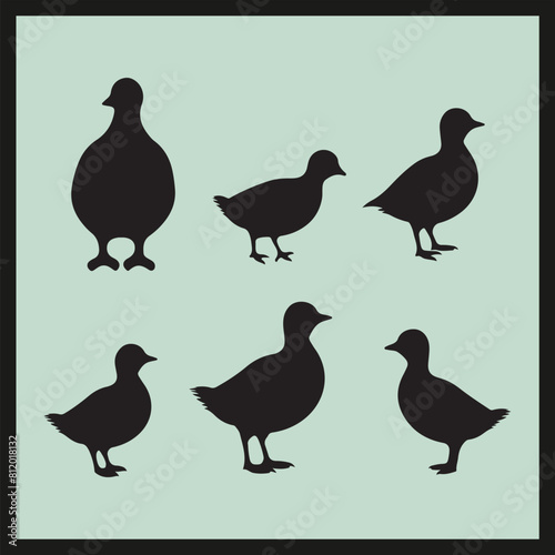 Dabchick black silhouette set vector