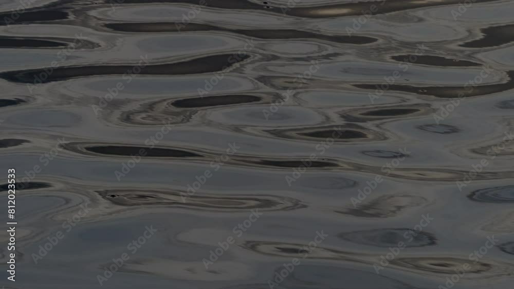 Sunlight reflects off the surface of the water and ripples. Sunlight reflects off the surface of the water and ripples.