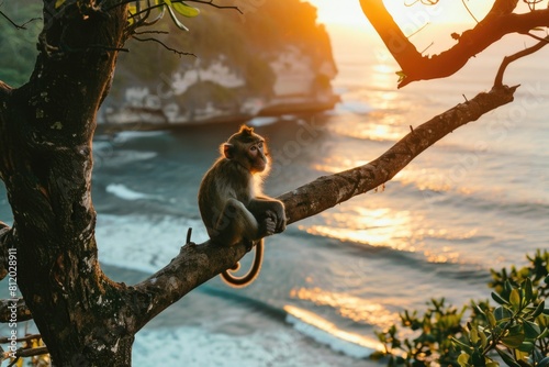 A monkey sitting on a tree branch near the ocean. Suitable for nature and wildlife themes photo