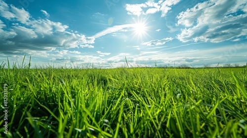 Wide-angle view of a pristine grassy meadow in the countryside