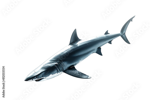 white shark isolated on white transparent background