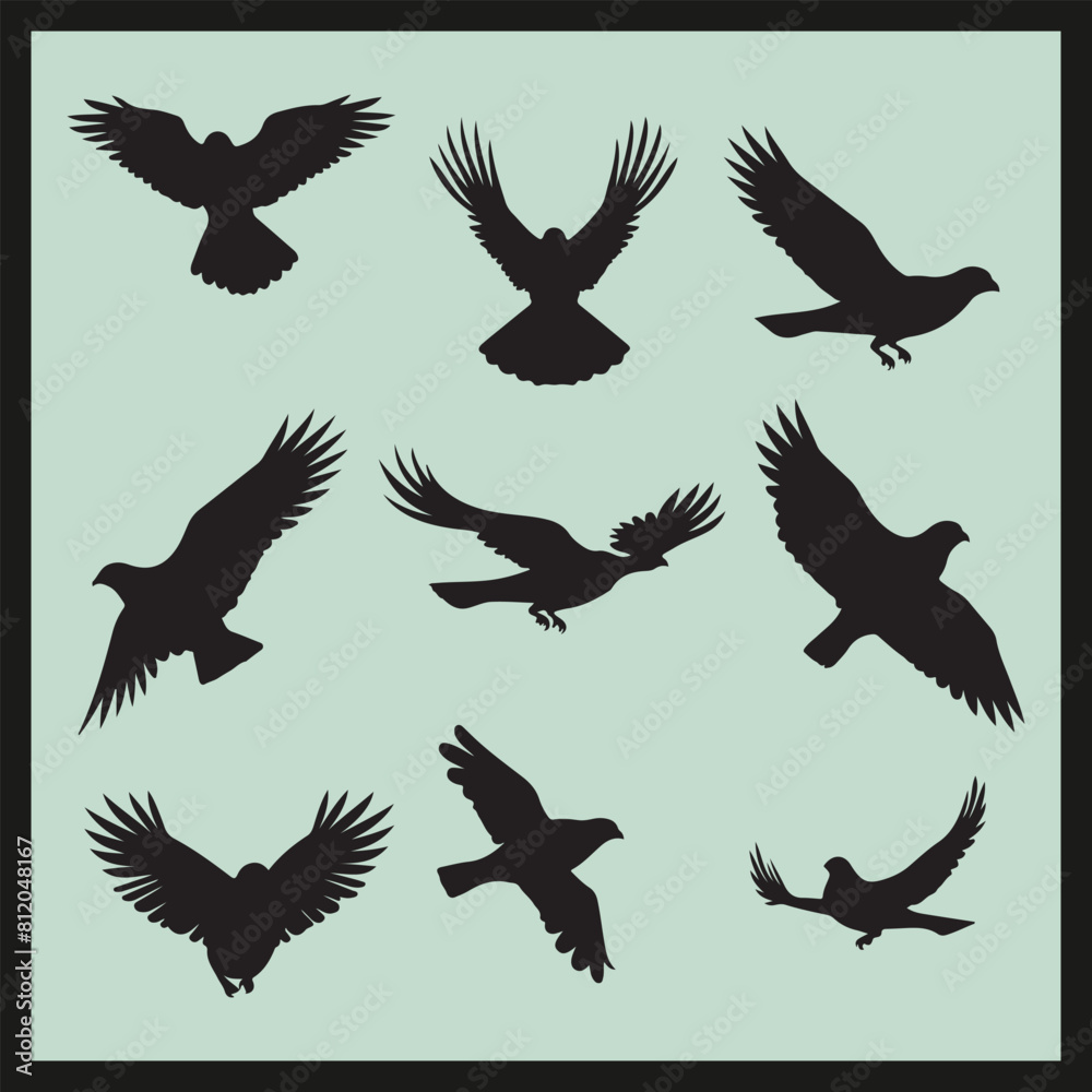 Obraz premium Falcon black silhouette set vector