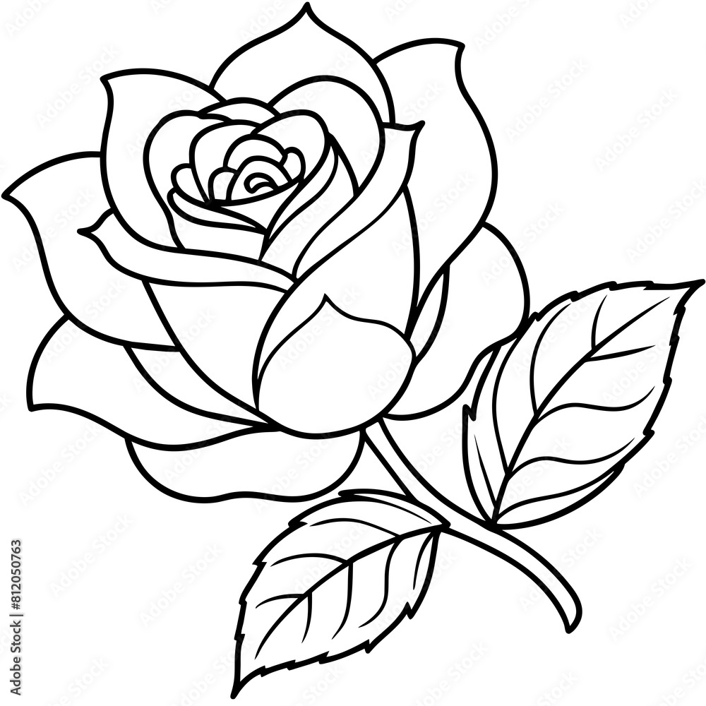 Rose flower outline coloring book page line art drawing vector illustration for children and adults Rose flower outline coloring book page line art drawing vector illustration for children and adults