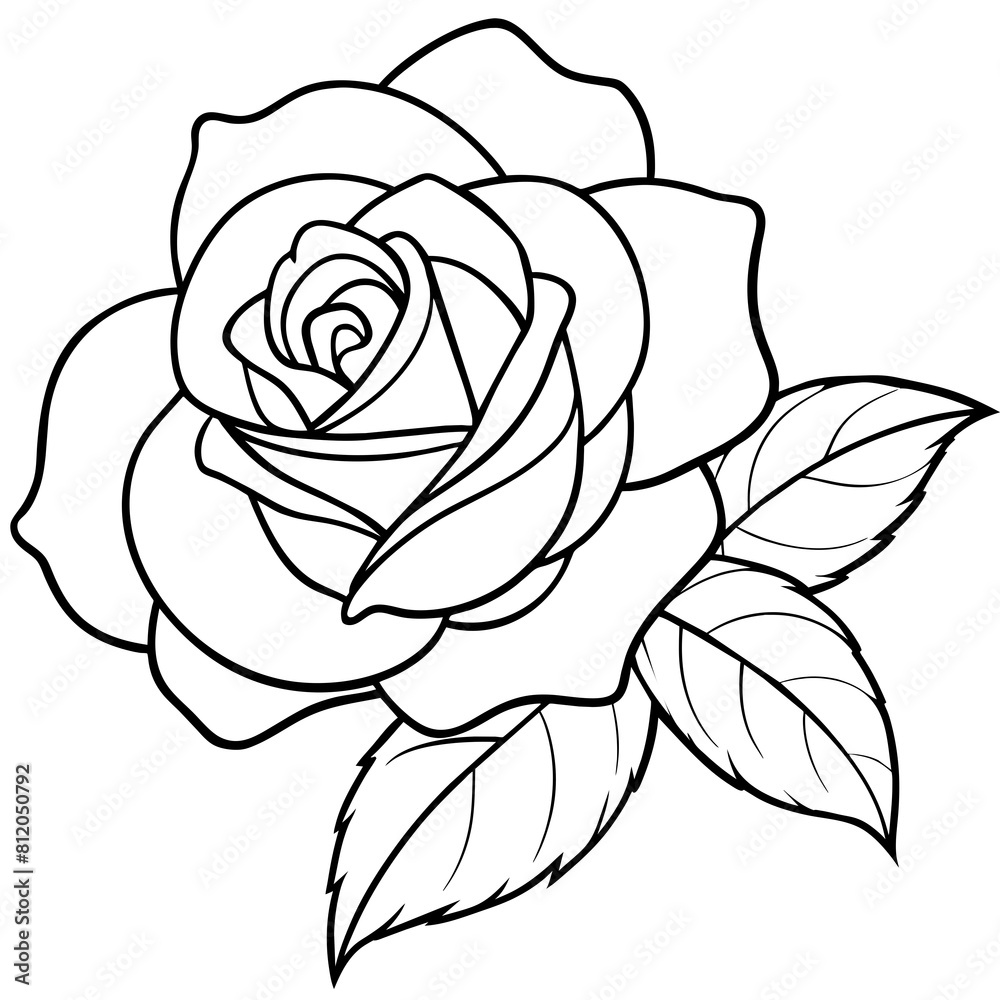 custom made wallpaper toronto digitalRose flower outline coloring book page line art drawing vector illustration for children and adults