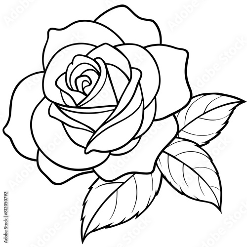 Wallpaper Mural Rose flower outline coloring book page line art drawing vector illustration for children and adults Torontodigital.ca