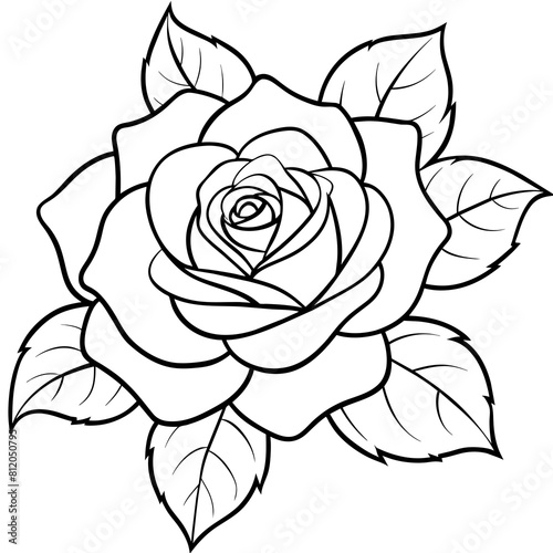 Rose flower outline coloring book page line art drawing vector illustration for children and adults