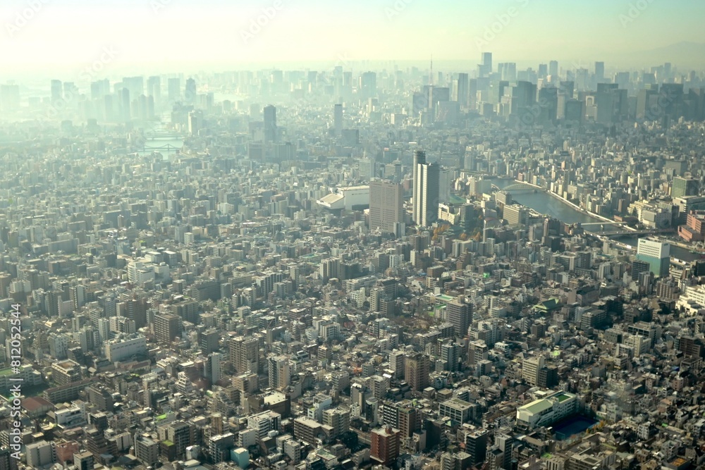 Fototapeta premium 都市の風景