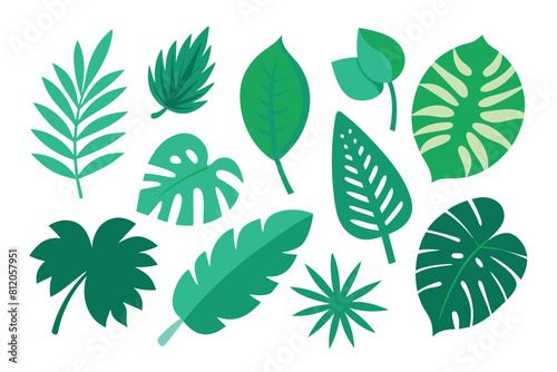 Set of tropical Leaves Vectors design