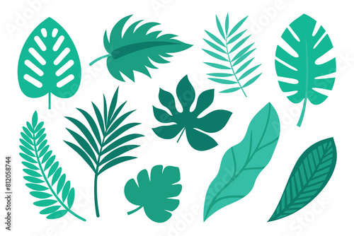 Set of tropical Leaves Vectors design