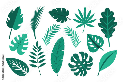 Set of tropical Leaves Vectors design