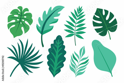 Set of tropical Leaves Vectors design