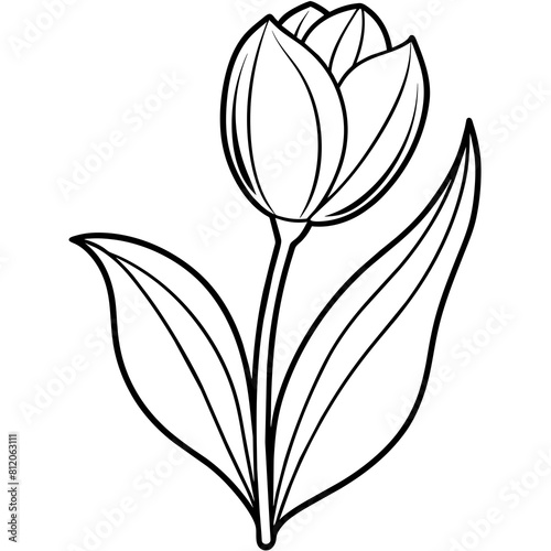 Tulip flower outline coloring book page line art drawing vector illustration for children and adults © MdDelowar