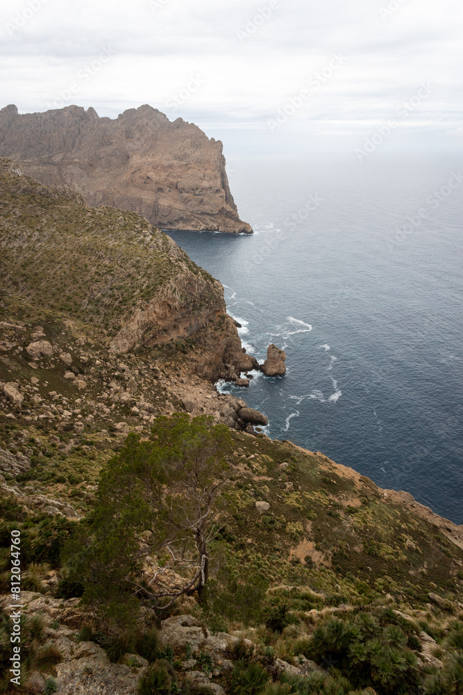 Fototapeta premium Mallorca 