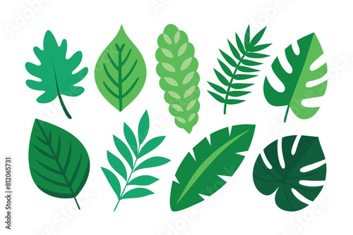 Set of tropical Leaves Vectors design