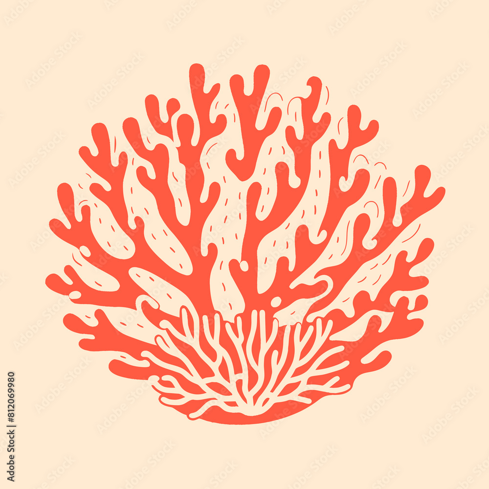 Set of sea shells, algae and starfish. Vector illustration isolated Set of sea shells, algae and starfish. Vector illustration isolated