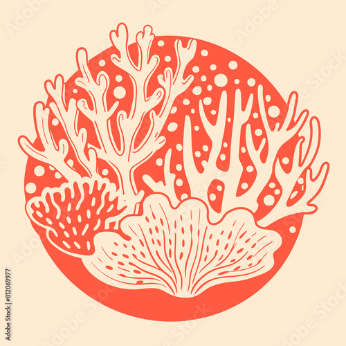 Set of sea shells, algae and starfish. Vector illustration isolated